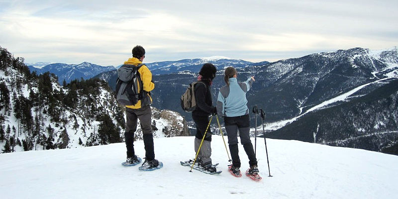 Raquetes de neu. Foto: Olga Cuevas i Melis